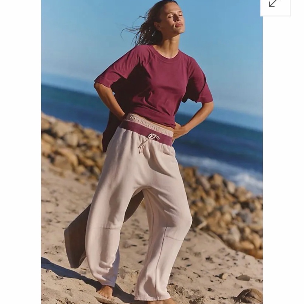 NWT Free People You Wish Pants In Ballet Slipper Size Large - Picture 1 of 6